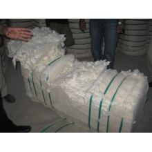 青岛双冠国际贸易有限公司-进口棉